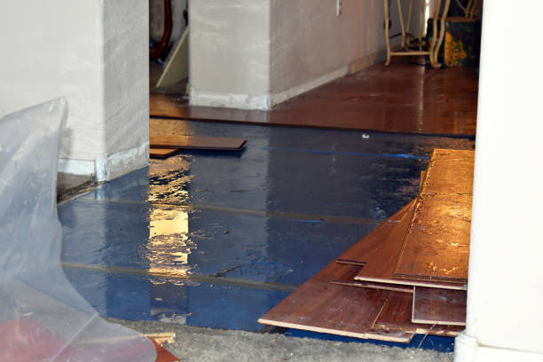 Professional Basement Flood Cleanup technician working in Pleasant Hill, OH